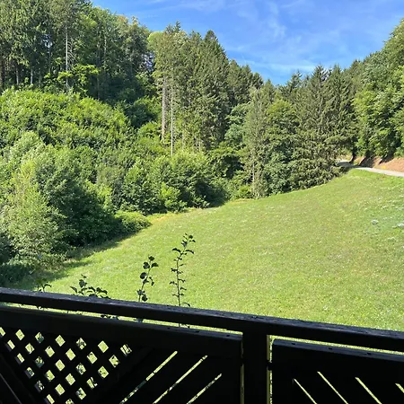 Accommodatie bij particulieren Gaestehaus Lumesberger *